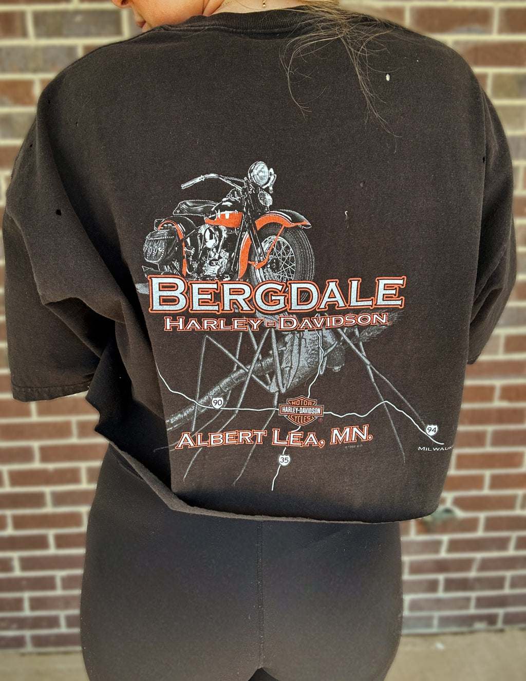 Upcycled Bergdale Tee- 2x