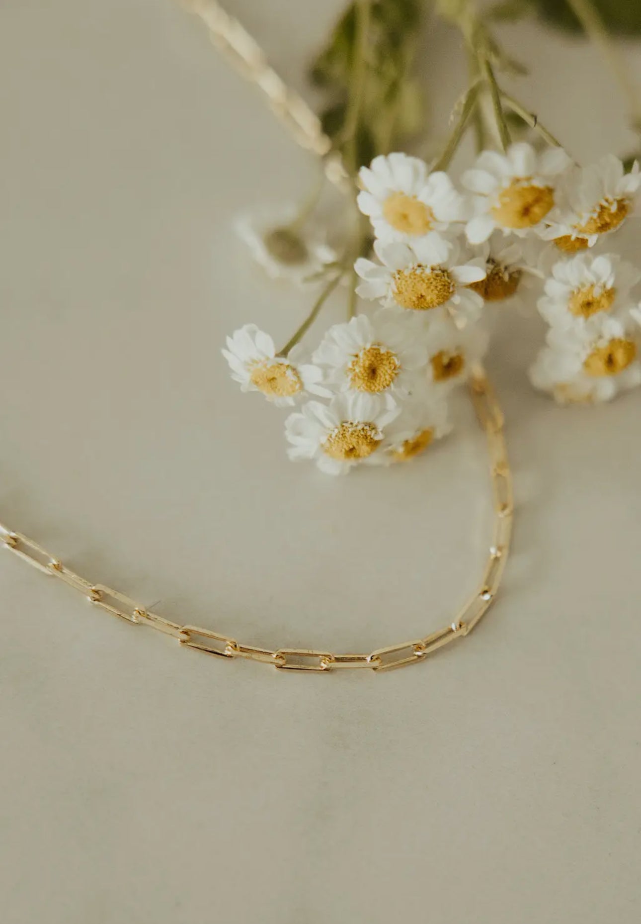 Madeline Gold Filled Paperclip Necklace