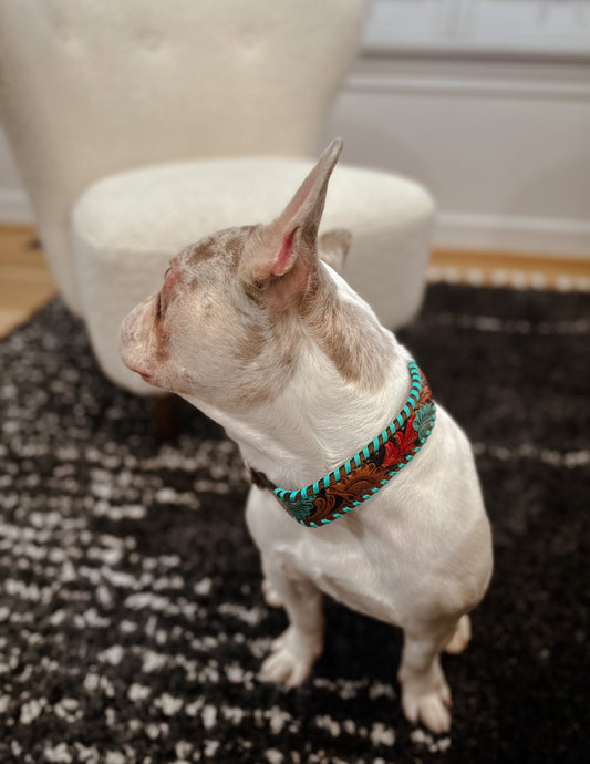 Full bloom Hand-Tooled Leather Dog Collar